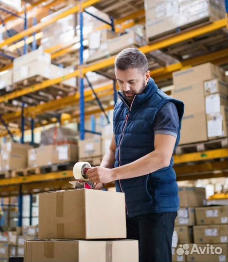 Можно в ночь.Берем всех.Граф. любой.Кормим.Сборщик