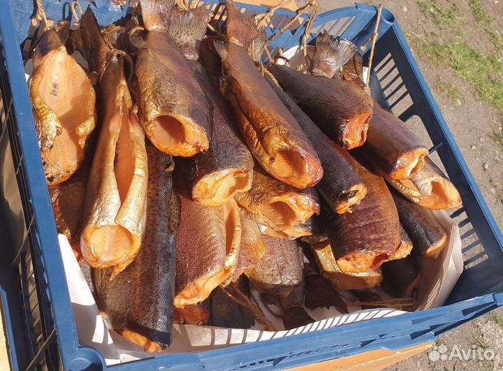 Форель холодно и горячего копчения