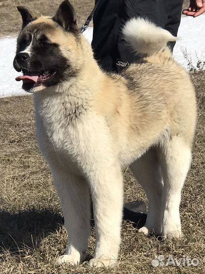 Яркая девочка