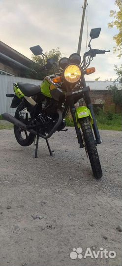Racer RC150-23 Tiger