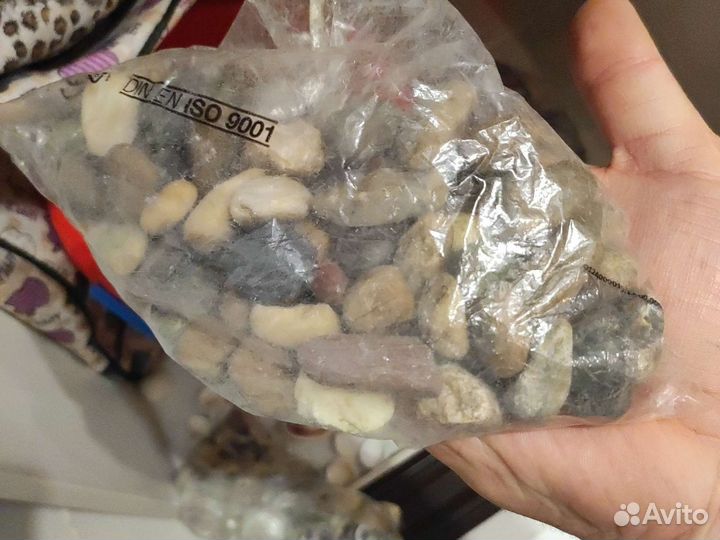 Морские ракушки ведро