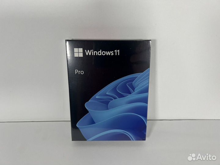 Windows 11