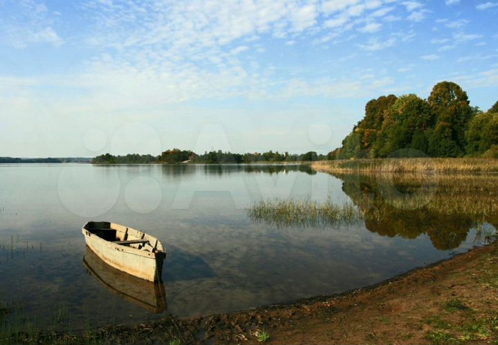 Участок 51 сот. (СНТ, ДНП)