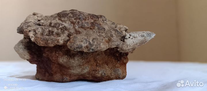 Продам метеорит