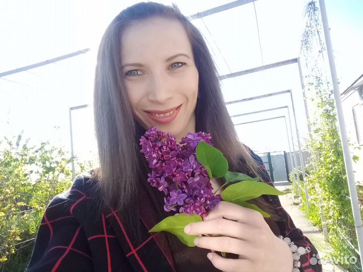 Свадебный организатор