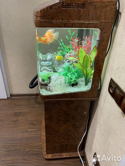 Аквариум