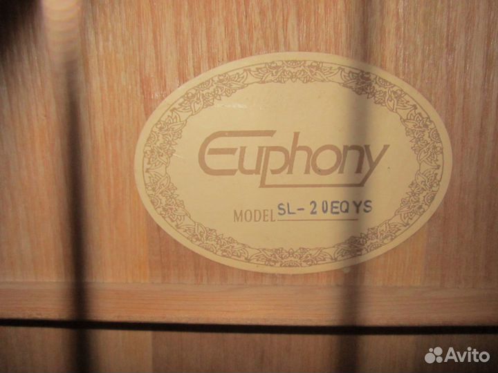 Гитару Euphony и комбоусилитель SXga-1065