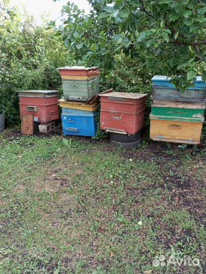 Ульи для пчел
