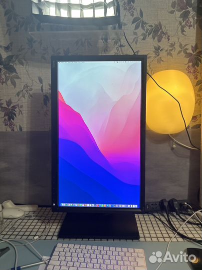 Монитор Benq BL2420PT 2k