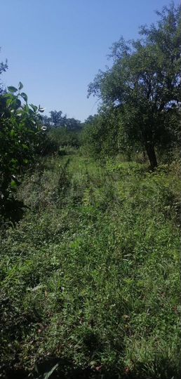 Дом 30 м² на участке 20 сот.