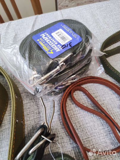 Ошейник, поводок, шлейка