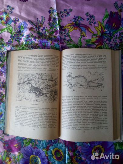 Книги. С.Шварц. Животный мир Урала 1951г