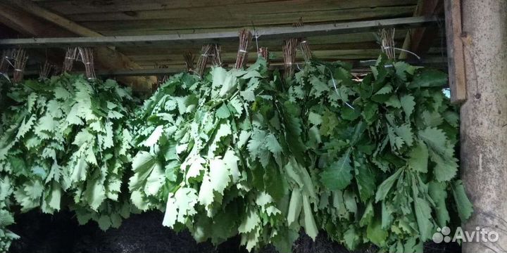 Веник дубовый (хватает на 10 раз)