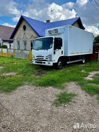 Isuzu ELF (N-series) изотермический, 2022