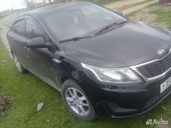 Овцы бараны ягнята