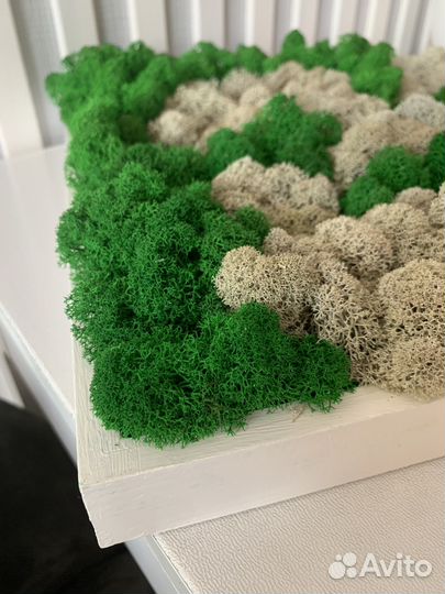 Эко-картина из мха