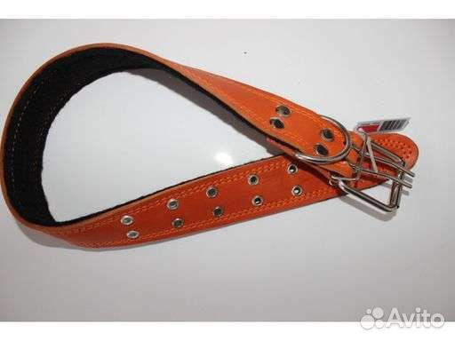 Ошейник для собак