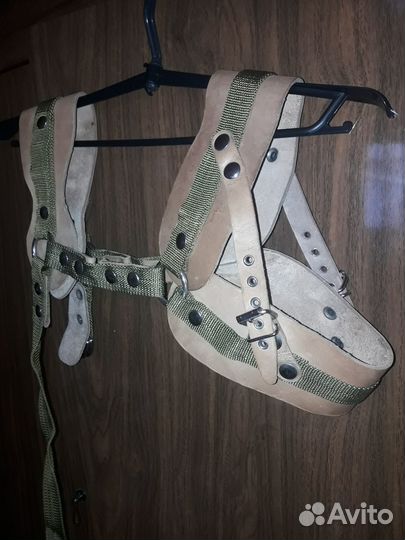 Ездовая шлейка, ошейник для собак