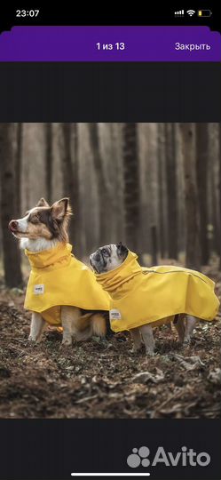 Дождевик для средней собаки