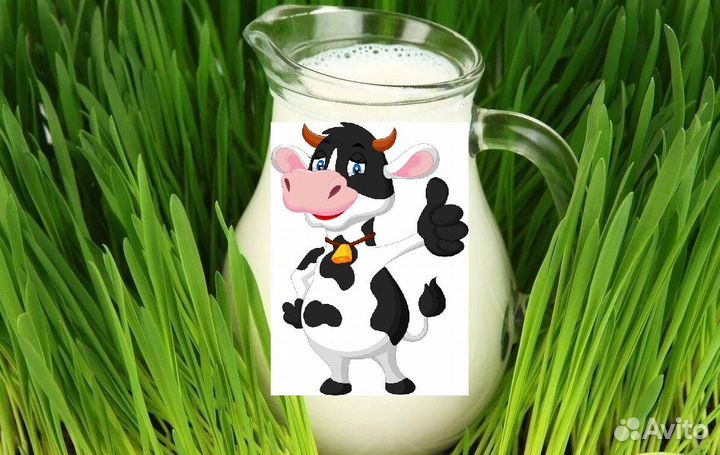 Заменитель цельного молока