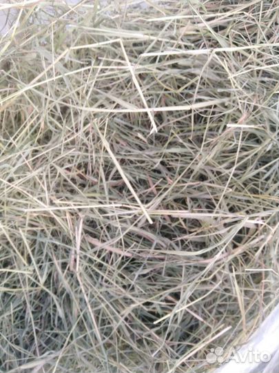 Сено для грызунов. Ручной сборки
