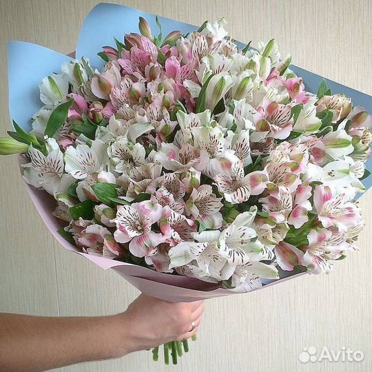 Букет альстромерии