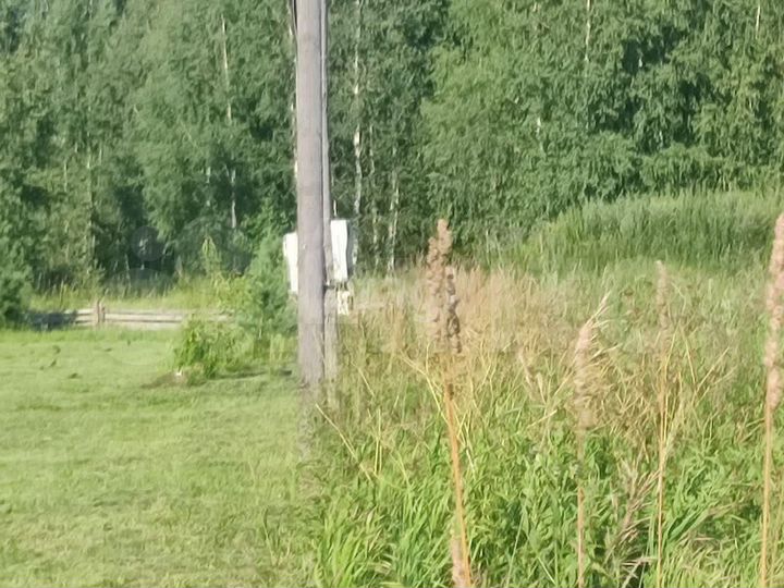 Участок 14 сот. (ИЖС)