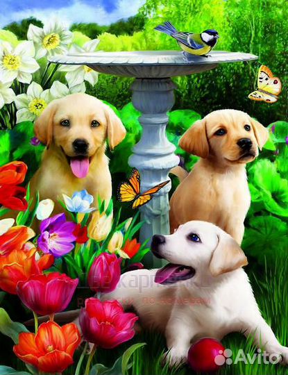 Картина по номерам 40x50 Милые щенки в саду возле
