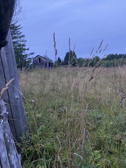 Участок 15 сот. (СНТ, ДНП)