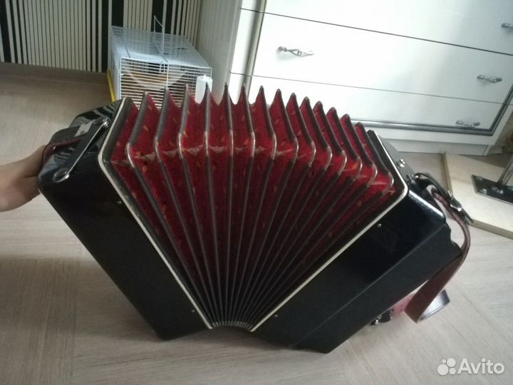 Гармонь Чайка