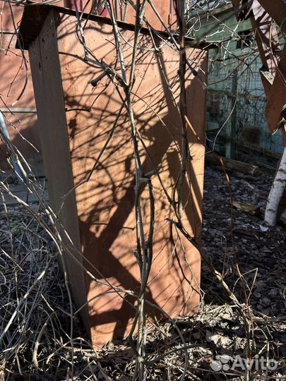 Ящик стальной уличный для газовых баллонов