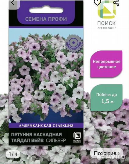 Рассада петунии тайдал