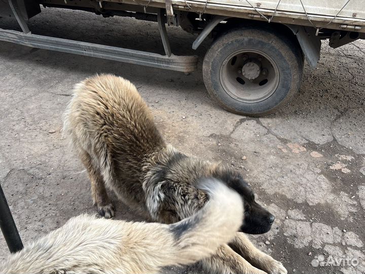 Кабель для вязки