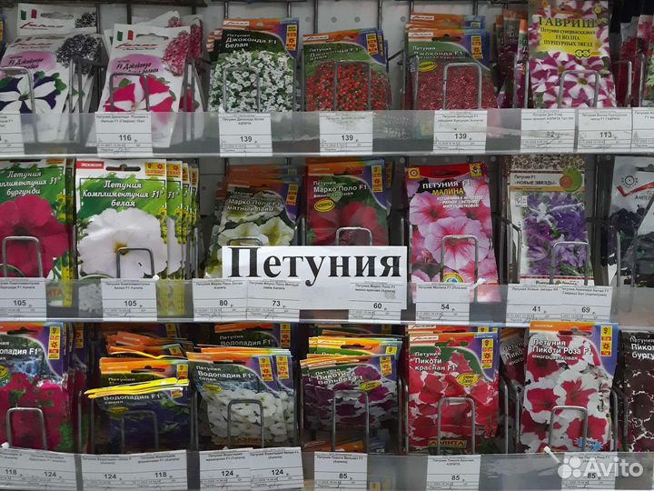 Семена петунии