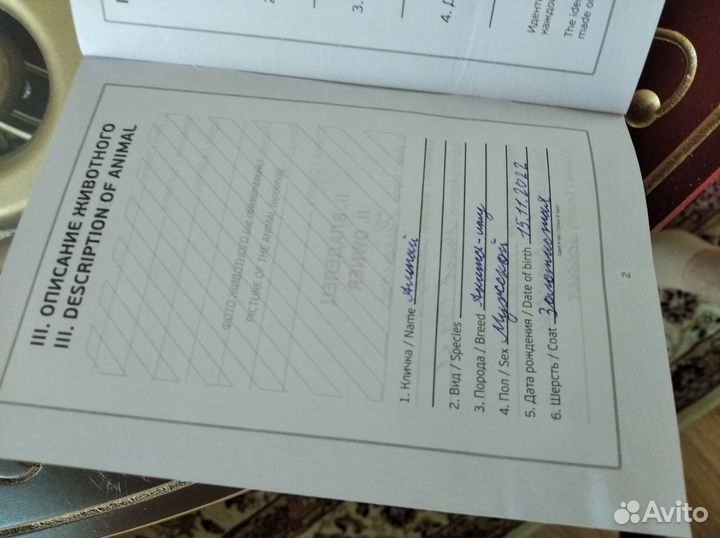 Продается собака