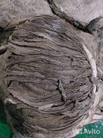 Книжка говяжья