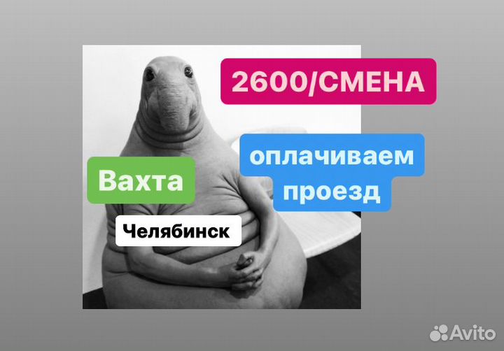 Сотрудники производства вахтой.Купим билет