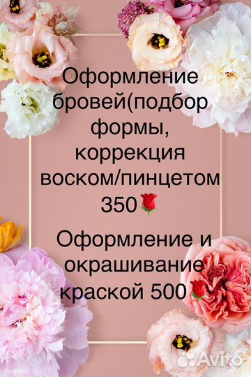Мастер бровист