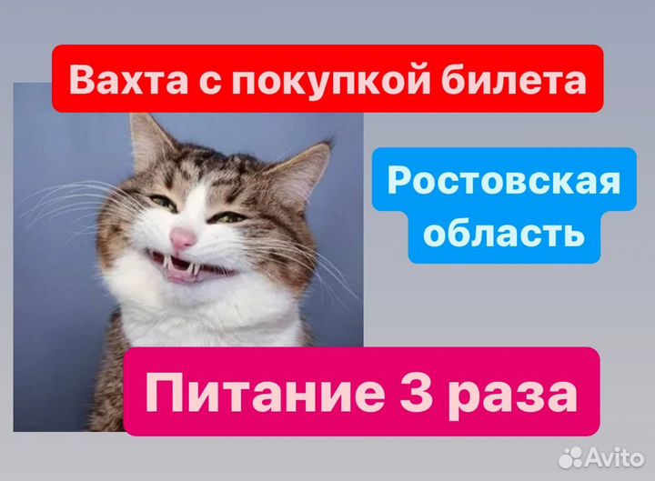 Разнорабочие вахтой. Оплатим дорогу