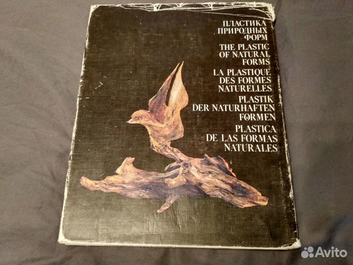 Книга-альбом Пластика природных форм
