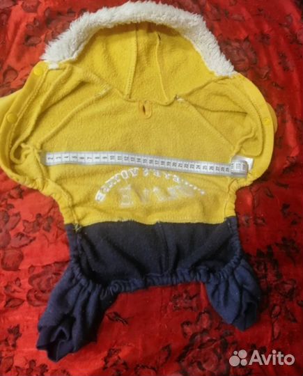 Одежда для маленьких собак