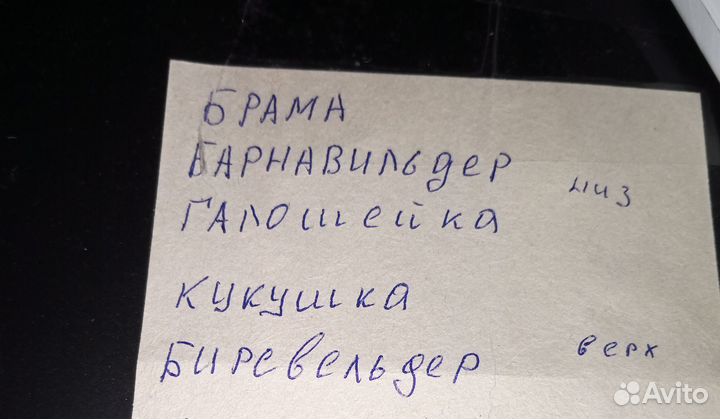 Суточные цыплята