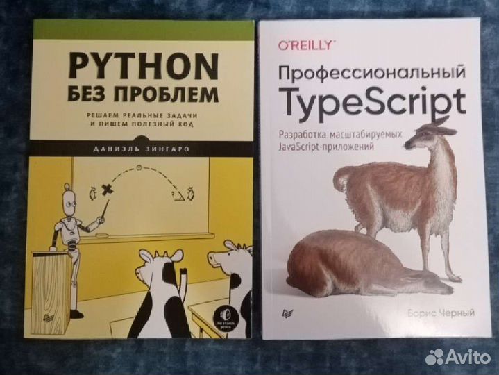 Python без проблем и профессиональный typescript