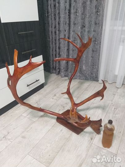 Продам рога