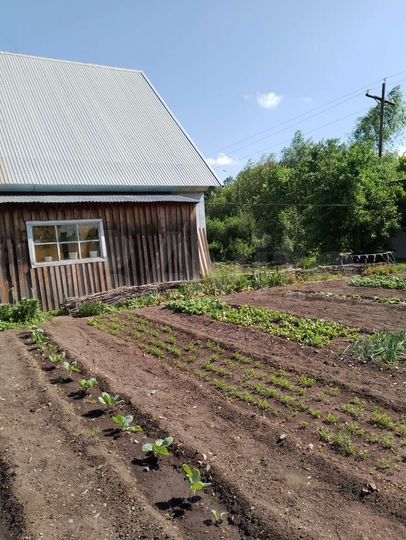 Дом 100 м² на участке 12 сот.