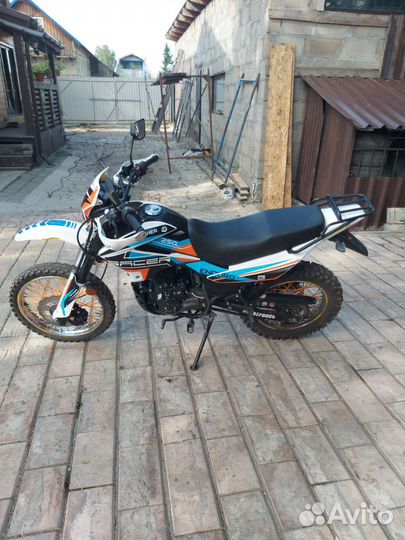 Racer Panther 250