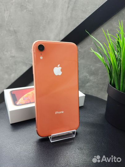 iPhone Xr, 128 ГБ