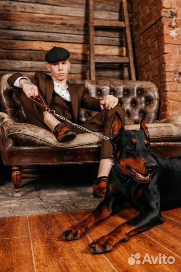 Фотосессия с доберманом под ключ с визажистом