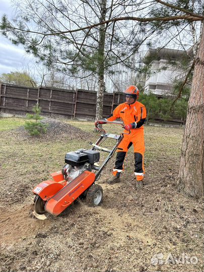 Срубить дерево