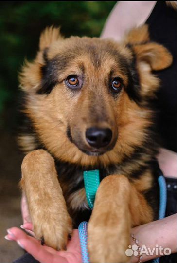 Мое детство проходит в приюте